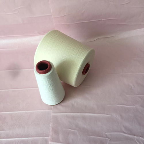 滌棉紗21支 環(huán)錠紡tc紗32支價(jià)格 滌綸紗40支廠家